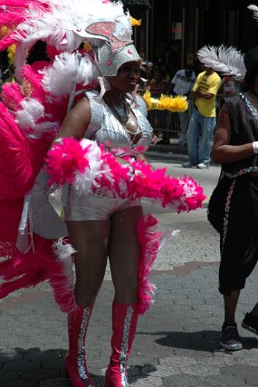 DSC_0695 null
