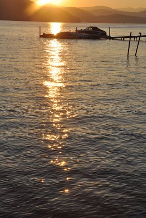DSC_2339 null