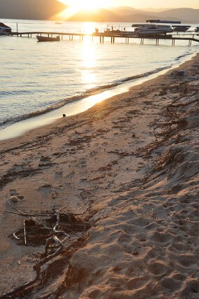 DSC_2350 null