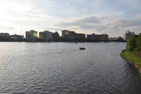 DSC_1268 null