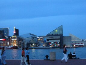 IMG_4252 null