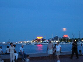 IMG_4253 null