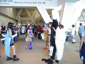 IMG_4280 null