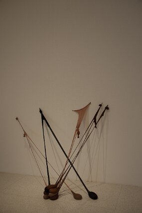 DSC_5555 null