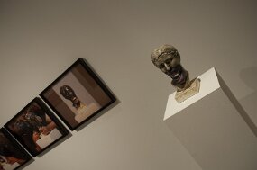 DSC_5565 null