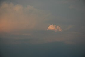 DSC_1127 null
