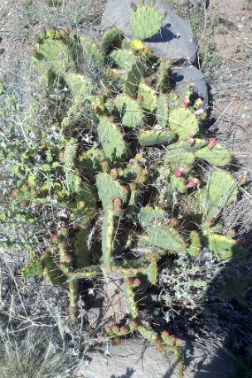 2011-06-11_16-06-30_457 null