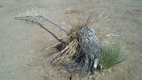 2011-06-16_16-24-42_184 null