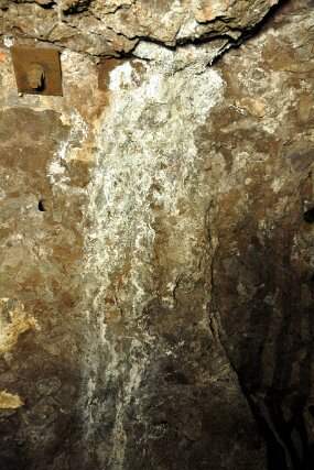 DSC_5594 null