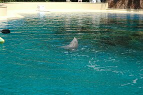 DSC_1264 null