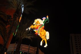 DSC_6891 null