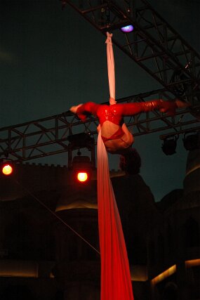 DSC_5398 null