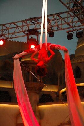 DSC_5400 null