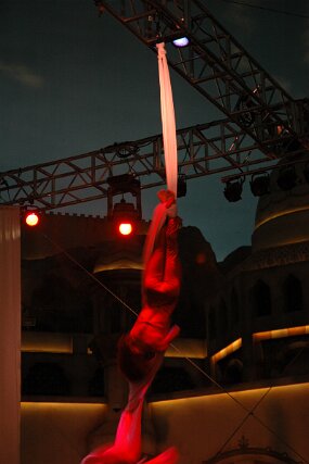 DSC_5411 null