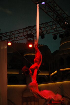 DSC_5413 null