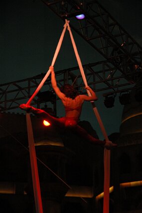 DSC_5416 null