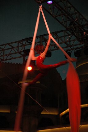 DSC_5418 null