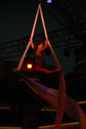 DSC_5419 null