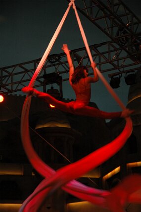 DSC_5422 null