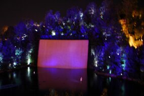DSC_0445 null