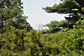 DSC_1329 null