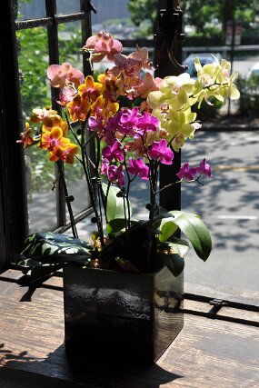 DSC_1355 null