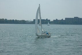 DSC_3116 null