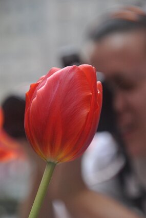 DSC_3728 null
