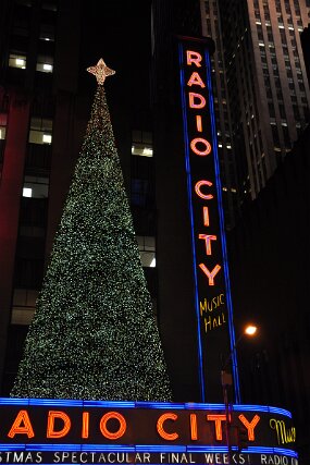 DSC_1100 null