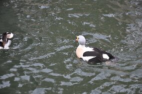 DSC_8492 null