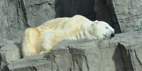 DSC_8503 null
