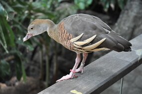 DSC_2024 null