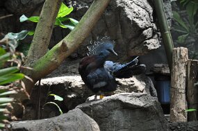 DSC_2030 null