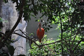 DSC_2034 null