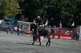 DSC_3112 null