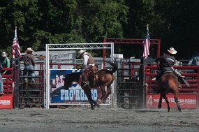 DSC_3128 null