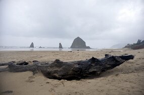 DSC_0001 null