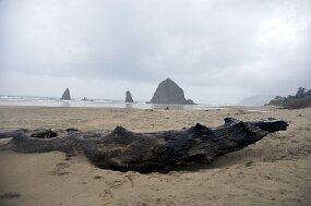 DSC_0002 null