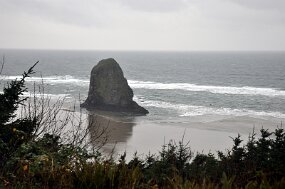 DSC_0012 null