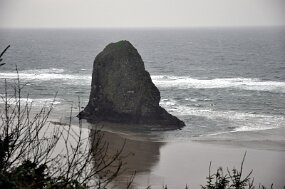 DSC_0013 null