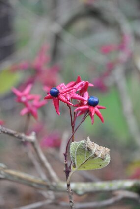 DSC_0051 null