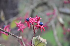 DSC_0052 null