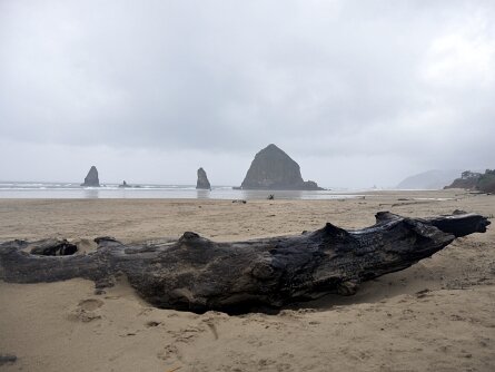 Cannon Beach (15 Nov 13) Cannon Beach (15 November 2013)