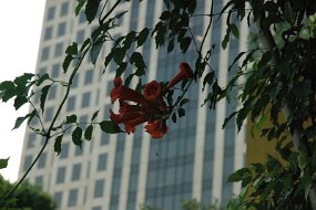 DSC_8208 null