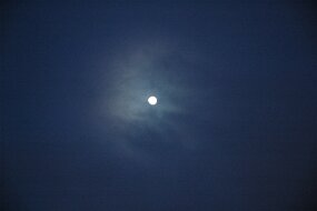 DSC_8223 null