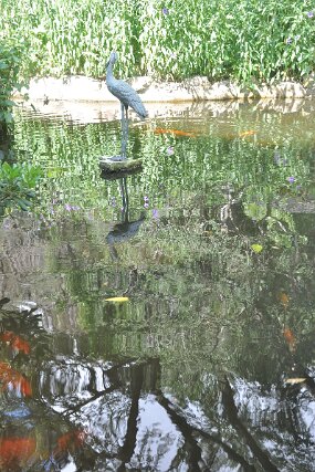 DSC_8699 null