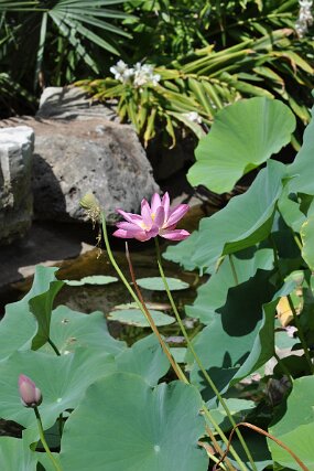 DSC_8714 null
