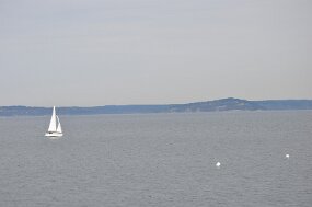 DSC_4698 null