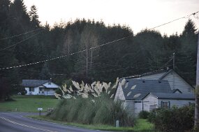 DSC_9015 null
