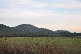 DSC_9019 null